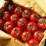 صادرات گوجه