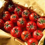 پیاده سازی گلخانه گوجه فرنگی